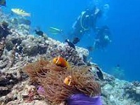 diving