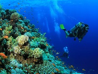 diving