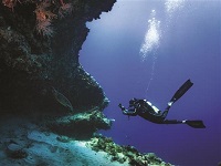 diving