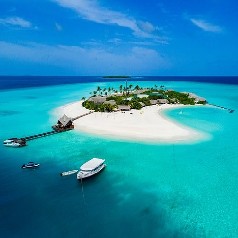Dhigufaru Island Resort