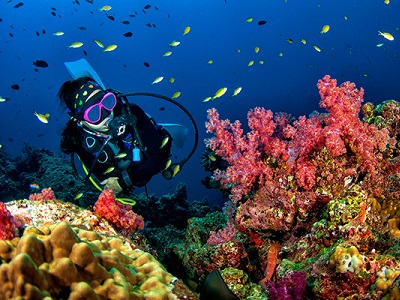 diving