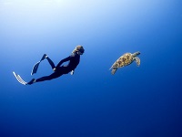 diving