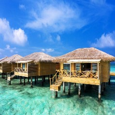 Cocoon Maldives