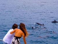 excursions