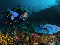 diving